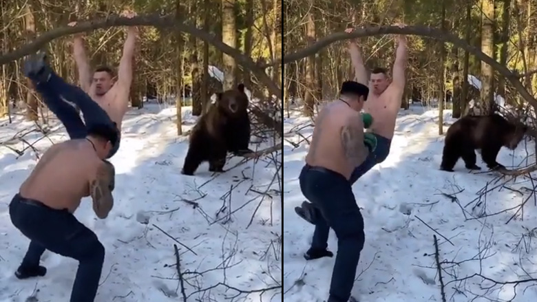 Aρκούδα βοηθά δύο άντρες κατά τη διάρκεια της εκπαίδευσής τους (Ρωσία) 