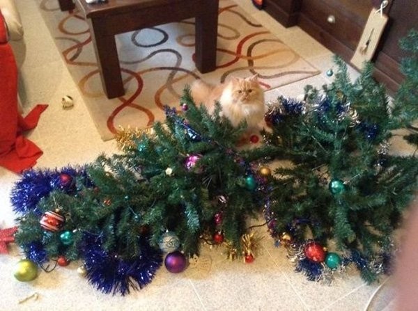 Pets-Knocking-Down-Christmas-Trees-03.jpg